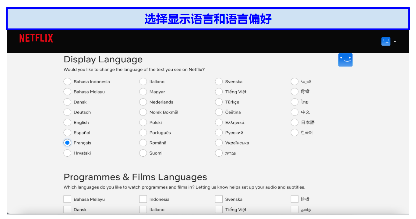 Graphic showing Netflix language settings