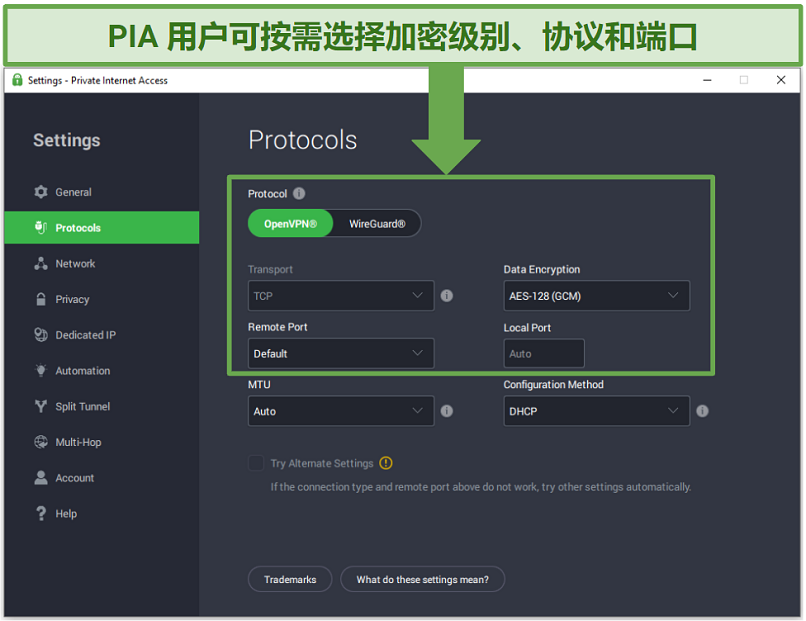 Screenshot of PIA's settings tab showing available protocols and encryption levels