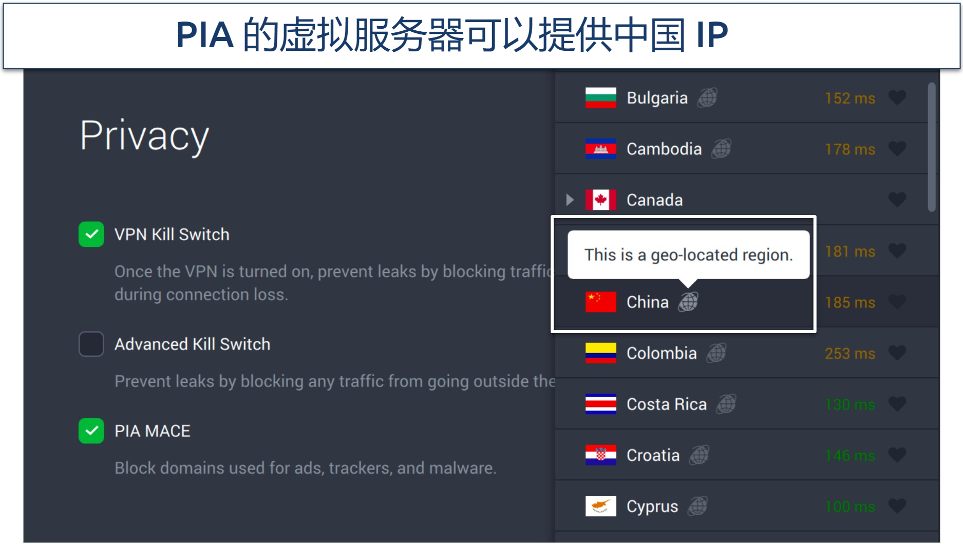 Screenshot of PIA's privacy settings and virtual servers in the app