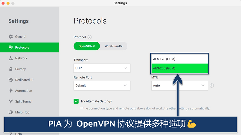 Screenshot showing how to switch encryption levels on the PIA app