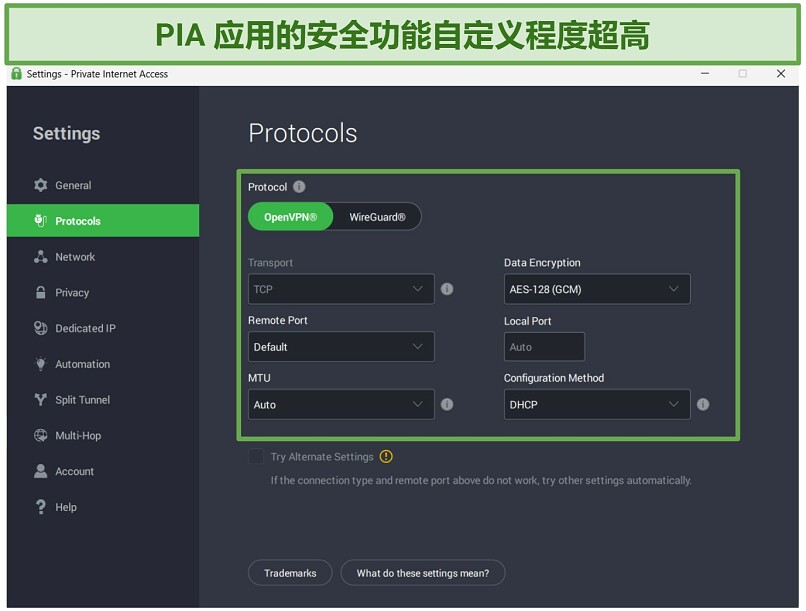 Screenshot of PIA's highly customizable security settings