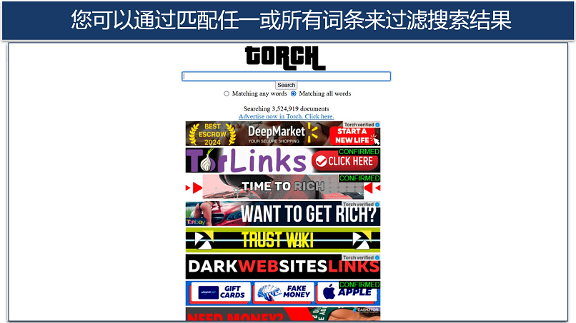 Image showing the landing page of Torch