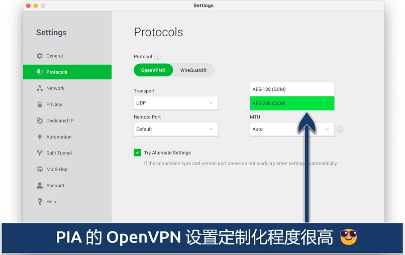 Screenshot showing the customization options on PIA's Settings menu