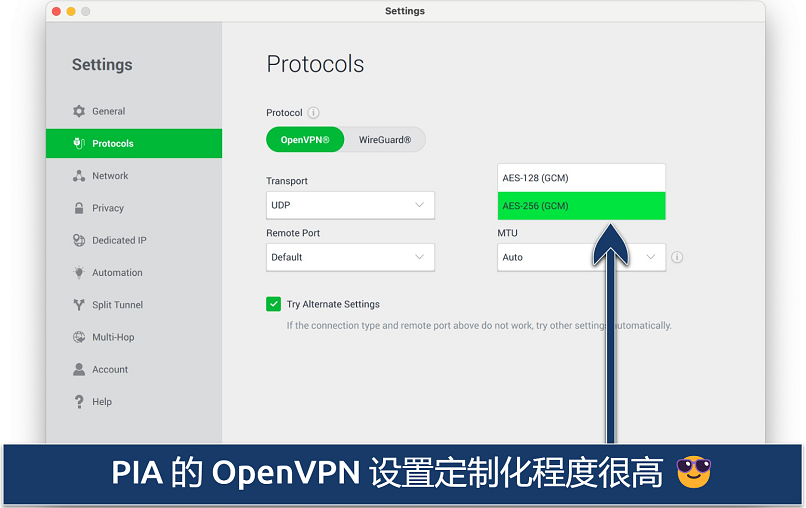 Screenshot showing the customization options on PIA's Settings menu