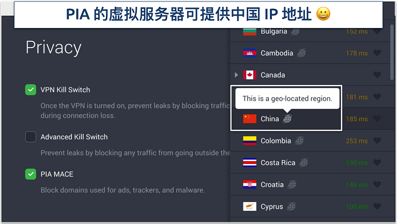 Screenshot of PIA's privacy settings and virtual servers in the app