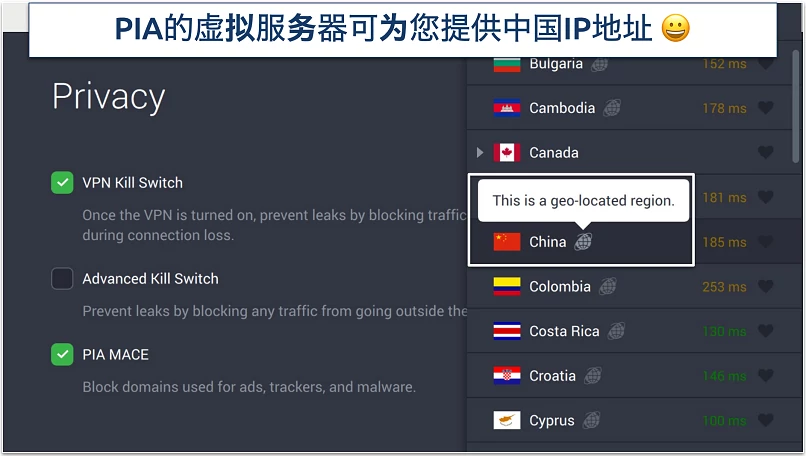 Screenshot of PIA's privacy settings and virtual servers in the app